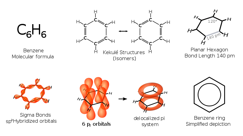 A few different ways of representing the common aromatic molecule, benzene.